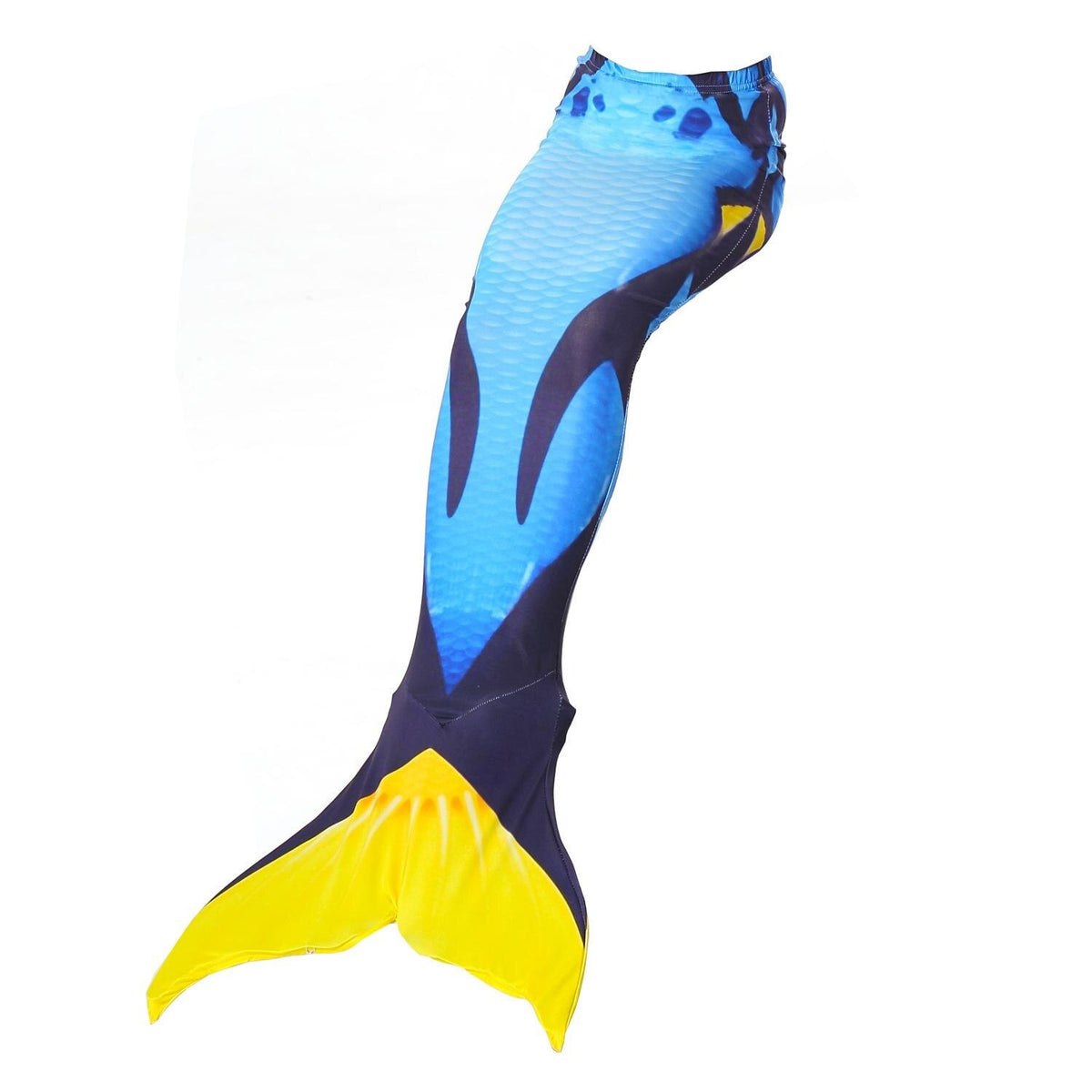 queue de sirène dory